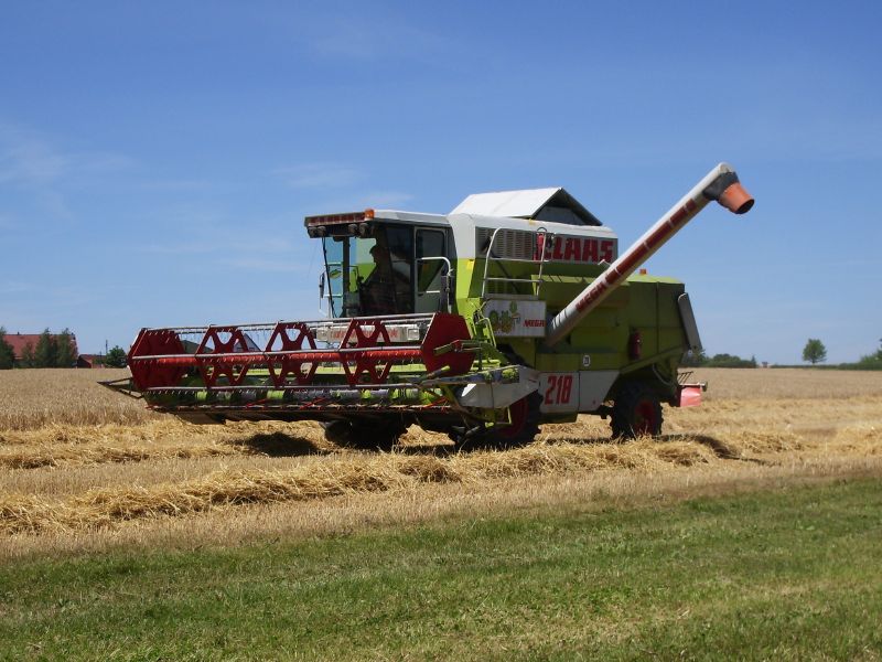 Claas Mega 218 08.jpg